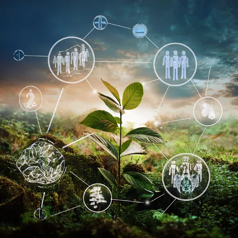 Cátedra de Ecología y Educación Ambiental