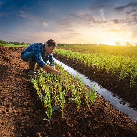 Cátedra de Gestión Sostenible del Suelo