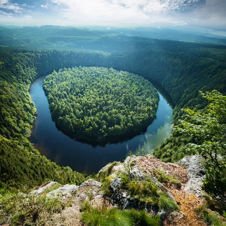 Cátedra de Políticas de Conservación