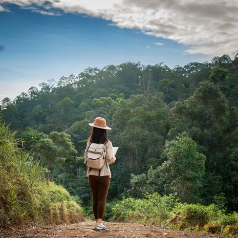 Cátedra de Producción Sustentable