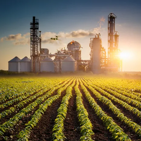 Cátedra Innovación y Desarrollo Agroindustrial