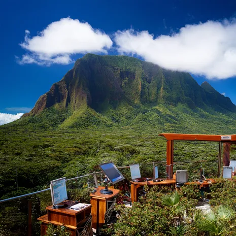 Cátedra de Ciencias Naturales
